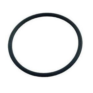 Pentair 86006900 Bulkhead O-Ring for Clean & Clear Plus / FNS Plus