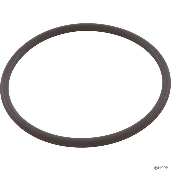 Zodiac Nature2 Fusion Large Collar Viton O-Ring R0586300