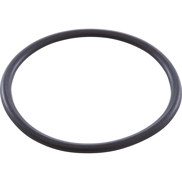 Zodiac Nature2 W151201 DuoClear Lock Ring O-Ring