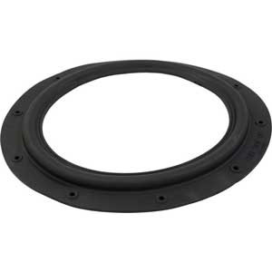 Hayward ECX1039 Perflex EC30 Diaphragm Gasket