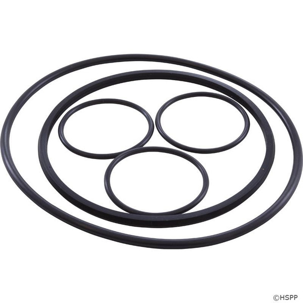 Hayward VLX4004A O-Ring Kit for VL Series Filters