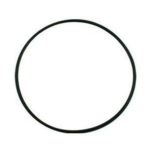 Pentair 355619 Seal Plate O-Ring for SuperFlo / SuperMax / Pinnacle