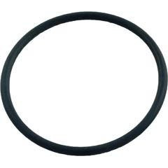 Pentair 191517 Center Pipe O-Ring for Star DE Filters