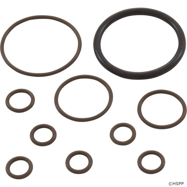 Pentair 360268 Feed Line O-Ring Kit for Racer Cleaners