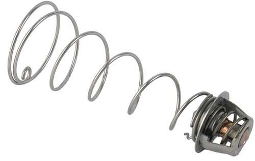 Pentair 460924 Regulator Kit for MasterTemp Heater ASME