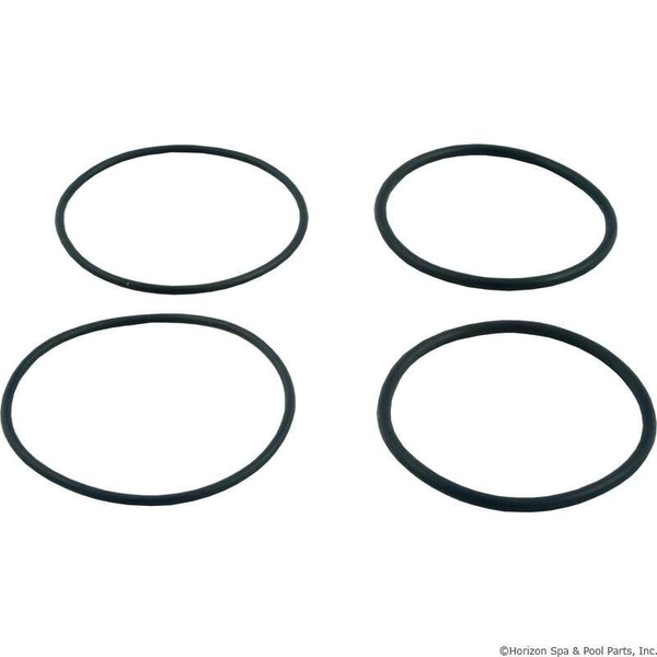Raypak 006724F PVC Connector O-RIng Kit