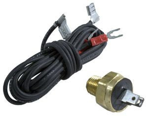 Raypak 600893B High Limit Switch - 140° F