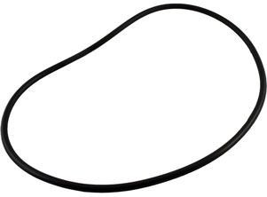 Jandy FHPM FloPro Pump Backplate O-Ring - R0480300