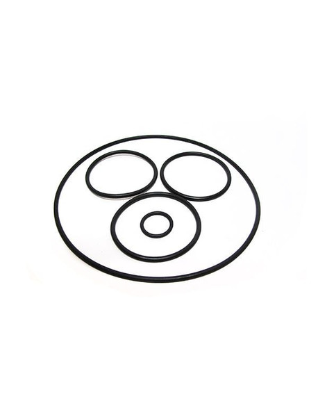 Pentair SMBW 2000 Filter Rotor O-Ring Kit V20-319