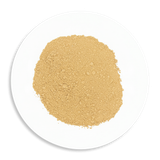 Lion's Mane Mushroom Powder Organic - The Herbal Connection