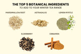 The Top 5 Botanical Ingredients to Add to Your Winter Tea Range