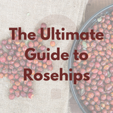 The Ultimate Guide To Rosehips. Health, Cooking and More.