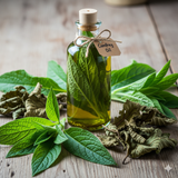 Comfrey Leaf: The 'Knitbone' Herb for Your Skin and Garden