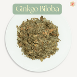 From Student Naturopath to Ginkgo Biloba Enthusiast: A Deep Dive into Cognitive and Tinnitus Relief Benefits 