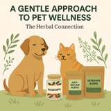 Herbs for Pets: Gentle, Natural Support for Your Animal’s Health & Happiness