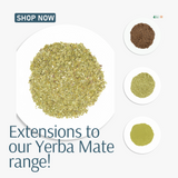 Embracing Tradition and Wellness with Organic Yerba Mate