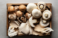 Organic Mushroom Varieties to Try: Unique Flavors and Benefits