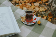 Autumn Herbs to Support Health and Vitality