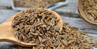 Caraway Seed Organic — The Complete Guide
