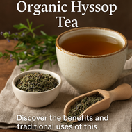 Organic Hyssop Tea: A Traditional Herb for Respiratory, Digestive & Immune Support