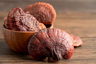 Mushrooms: Nature’s Ancient Healer with Modern Benefits
