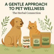 Herbs for Pets: Gentle, Natural Support for Your Animal’s Health & Happiness