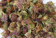Red Clover: Health Benefits & How to Use This Powerful Herb