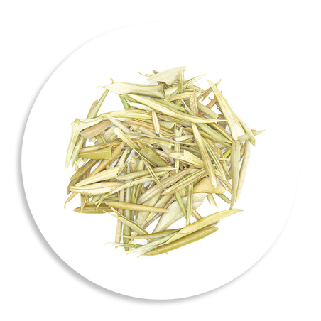 Olive Leaf Cut Organic - The Herbal Connection