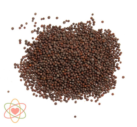 Mustard Seed Brown Organic - The Herbal Connection