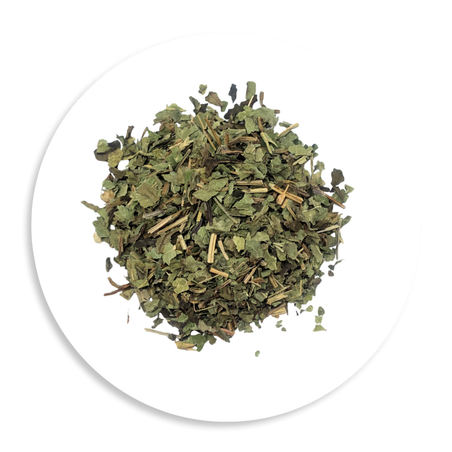 Echinacea - The Herbal Connection