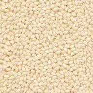 Sesame seed