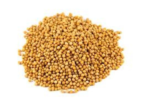 Mustard Seed Yellow Organic