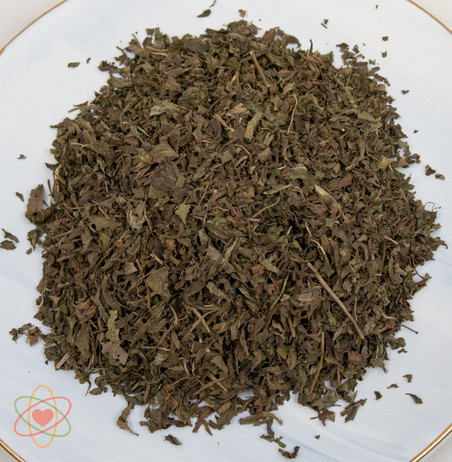 Spearmint Organic Large Leaf