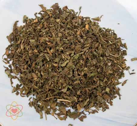 Large Leaf Peppermint Organic