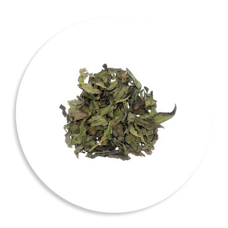 Peppermint Premium Organic Large Cut – Mentha piperita Freshly Harvested Austria Certified Organic SCX Large Cut Leaf, Premium Herbal Tea Blending Wholesale Australia The Herbal Connection