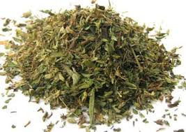 stevia leaf