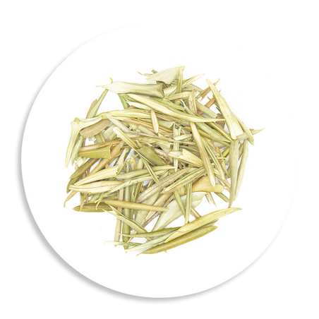 Olive Leaf