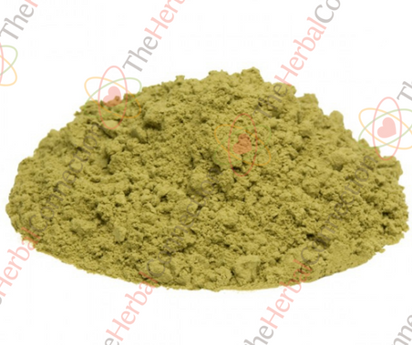 Ginkgo Biloba Powder