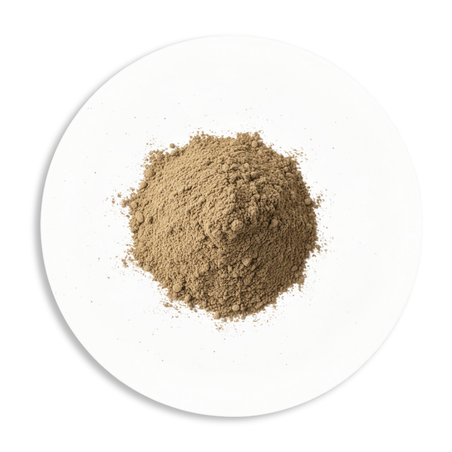 chaste tree berries powder