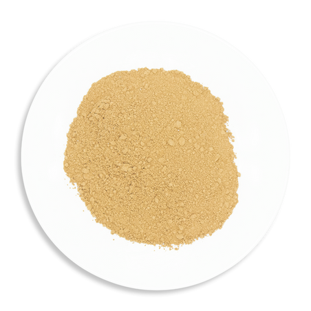 Lion's Mane Mushroom Powder – 100% Hericium erinaceus from China, Grain-Grown, No Additives or Fillers, 250g to 5kg Bulk Wholesale