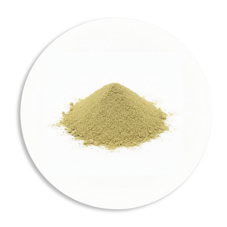 Elderflower Powder – Sambucus nigra Ukraine, Freshly Milled Sweet Floral-Fruity Fine Powder, Baking Beverages & Distillery Grade, 250g to 5kg Bulk Wholesale