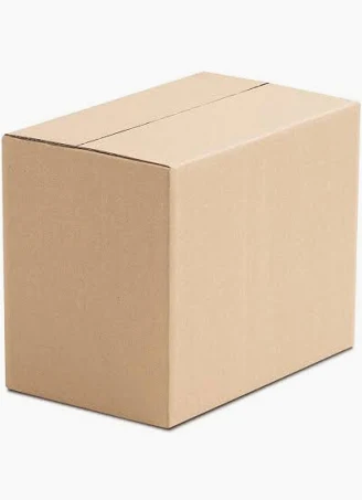 Bulk Coriander Seed Organic 5kg Carton - The Herbal Connection