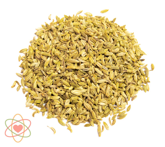 Fennel Seed Fennel Seed