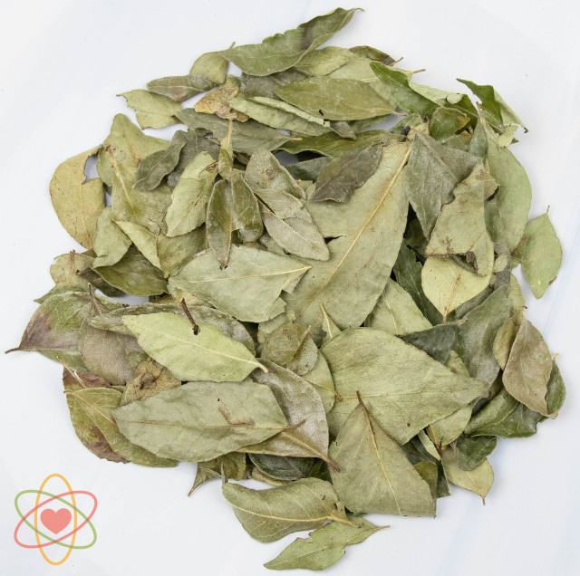 Curry Leaves Organic