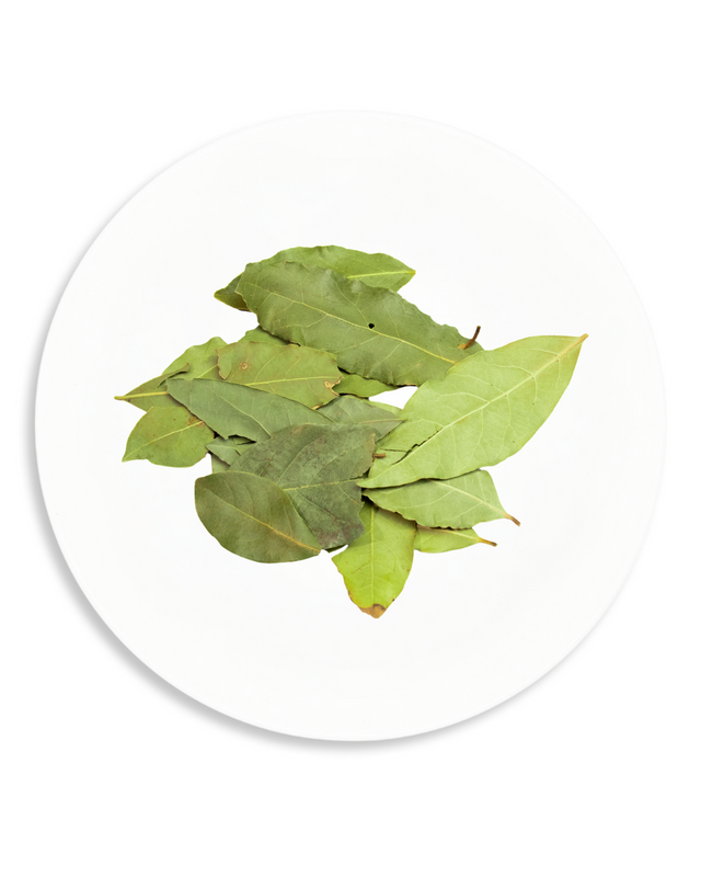 bay leaf