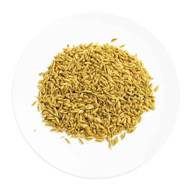 Certified Organic Fennel Seeds — Bulk Wholesale, Australia