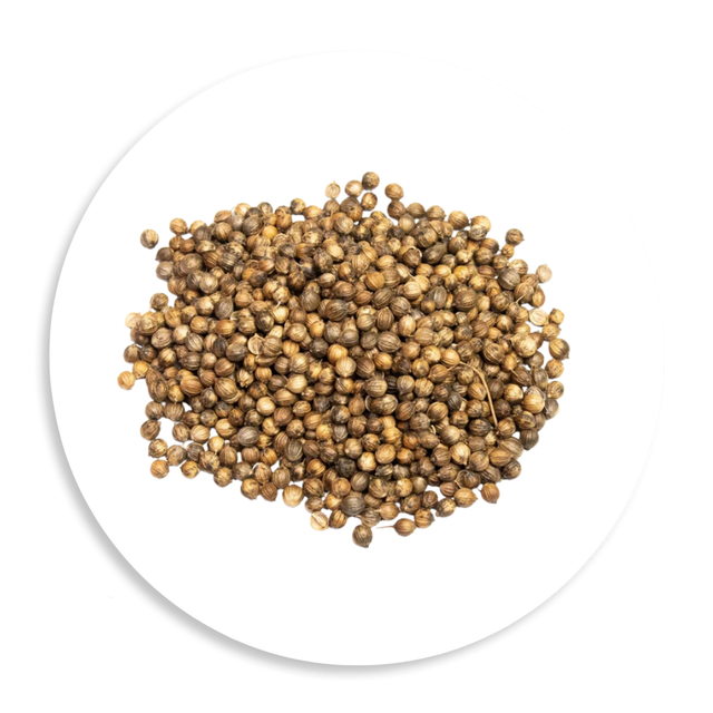 Whole Coriander Seed (Coriandrum sativum) - Retail and Wholesale Spice, Australia