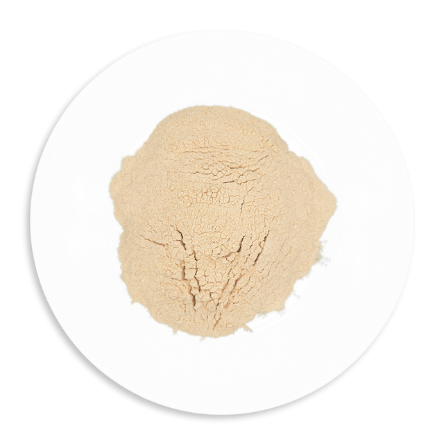 Lucuma Powder