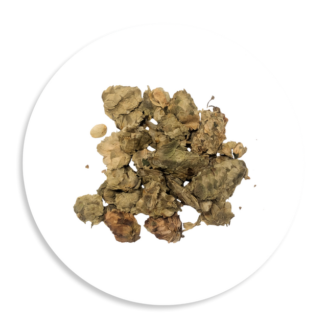 Hops Flowers – Whole Dried Humulus lupulus Cones Poland, Bitter Citrusy Floral Aroma with Lupulin, Home Brewing & Herbal Tea Grade, 250g to 5kg Bulk Wholesale