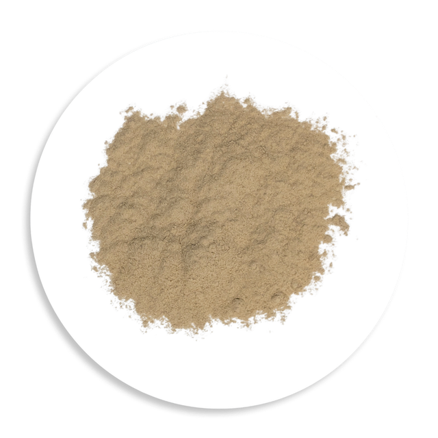 Dandelion Root Powder